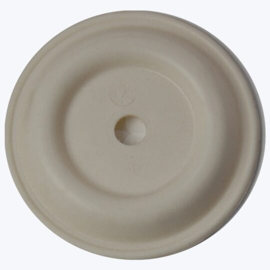 Diaphragm