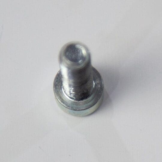 Screw
