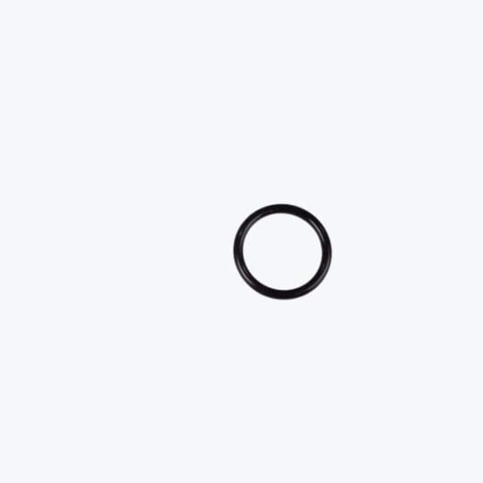 O-ring